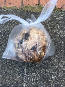 工事後